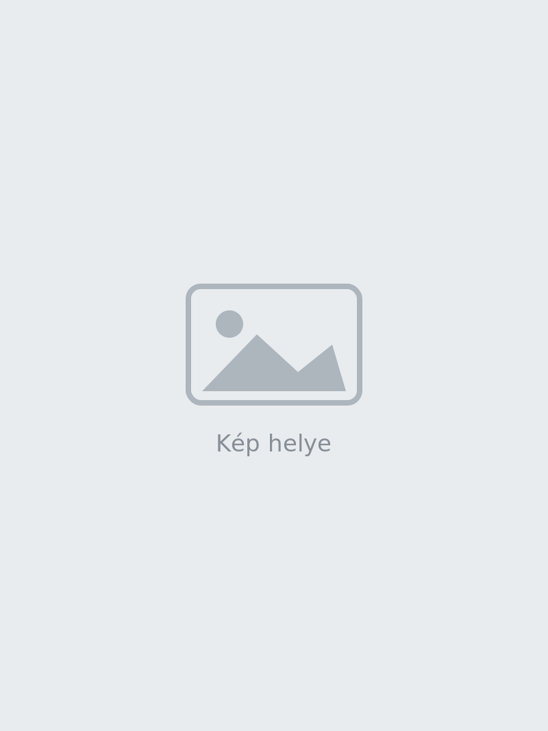 Helyőrző kép — dr. Korondi Vanda portréja hamarosan